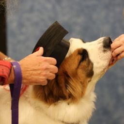 photograph by PeterW